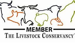 100% Pure is committed to providing the purest beauty care products. They strive to improve the environment and never test on animals. 100% Pure has donated an amazing gift basket for our upcoming Sponsor event.